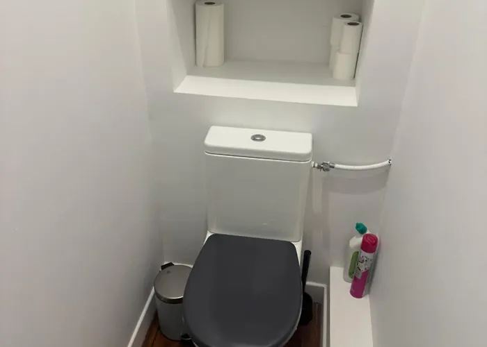 Haussmannien Dans Le Centre De